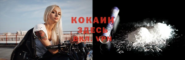 гашик Заводоуковск