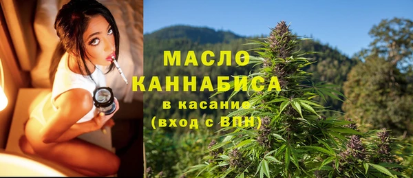гашик Заводоуковск