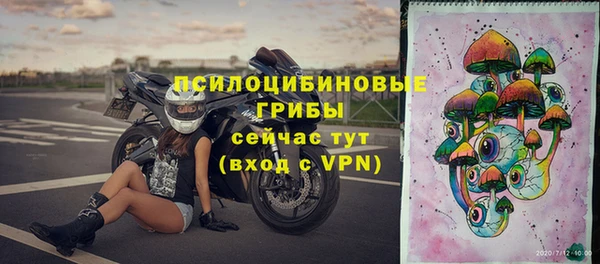 гашик Заводоуковск
