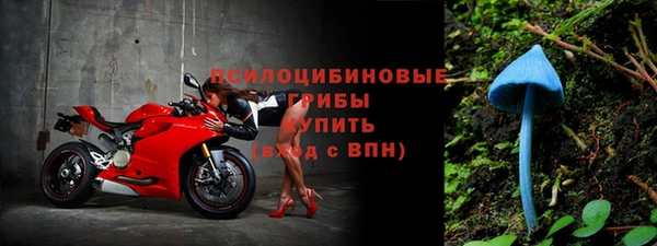 дживик Заволжск