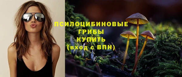 ПСИЛОЦИБИНОВЫЕ ГРИБЫ Алагир