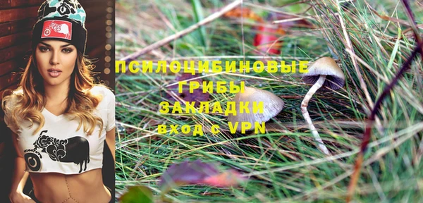 спиды Заволжье